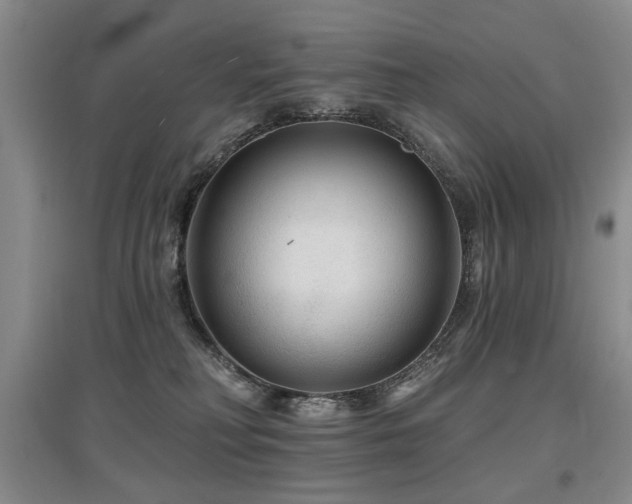 X0000097870230200803141305