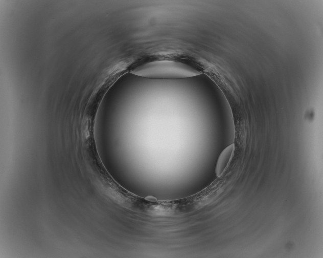 X0000097870232200803141305