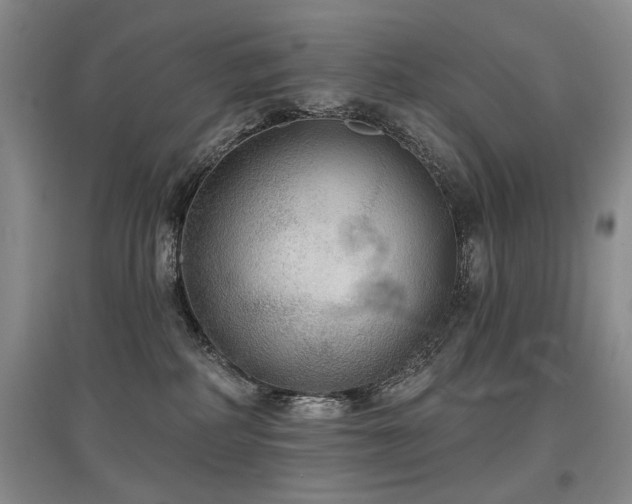 X0000097870234200803141305