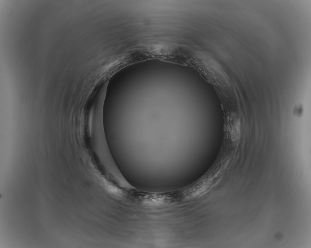X0000097870235200803141305