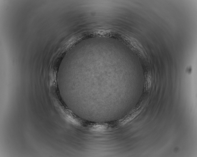 X0000097870236200803141305