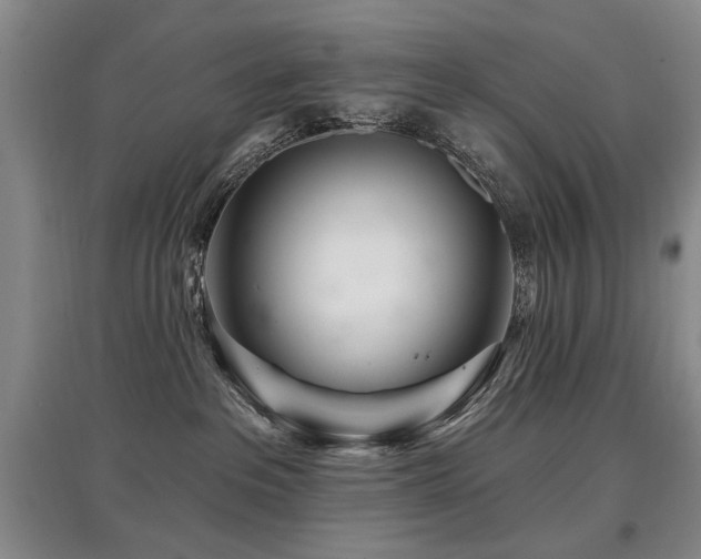 X0000097870237200803141305
