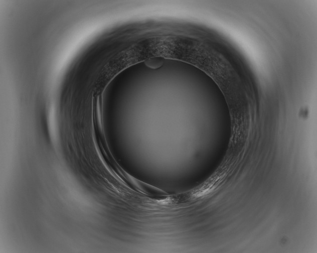 X0000097870239200803141305