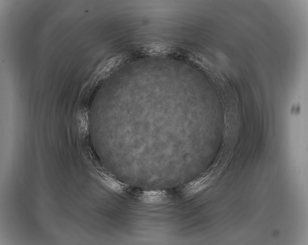 X0000097870240200803141305