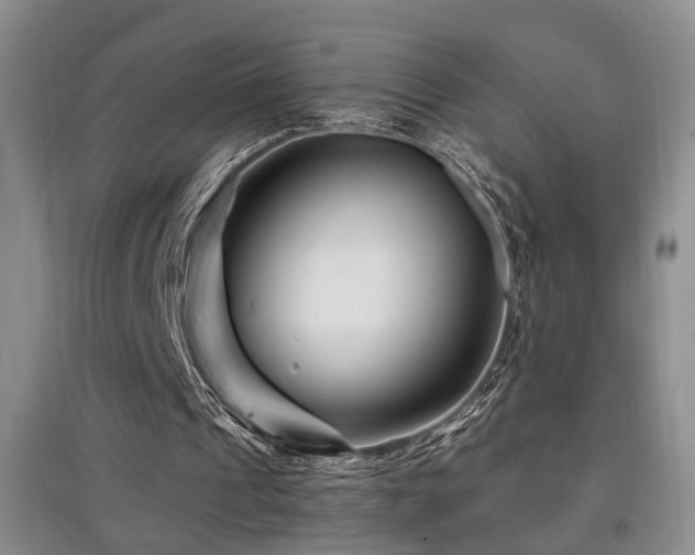 X0000097870241200803141304
