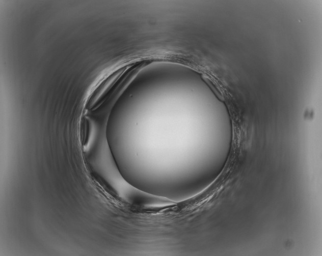 X0000097870244200803141304