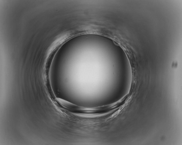 X0000097870245200803141304
