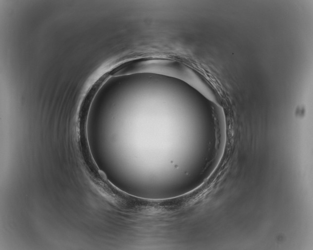 X0000097870246200803141304