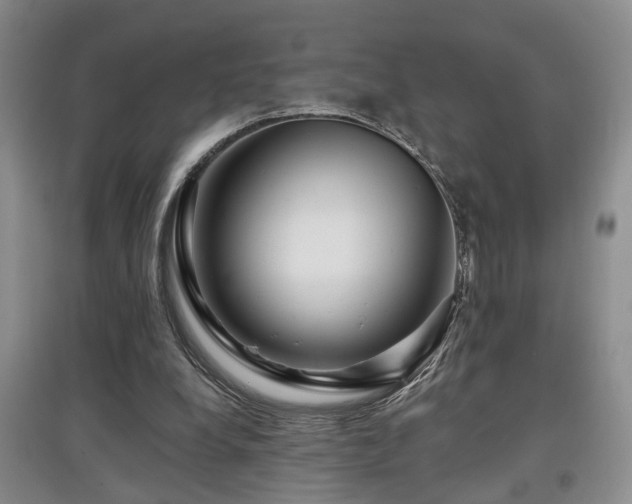 X0000097870248200803141304