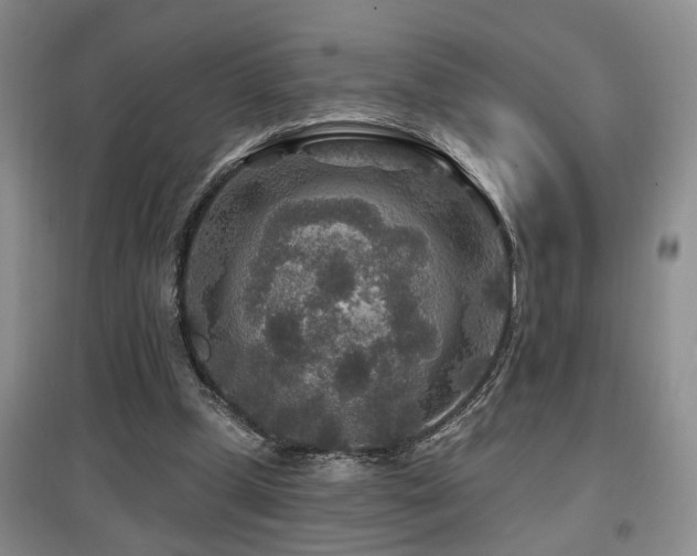 X0000097870249200803141304