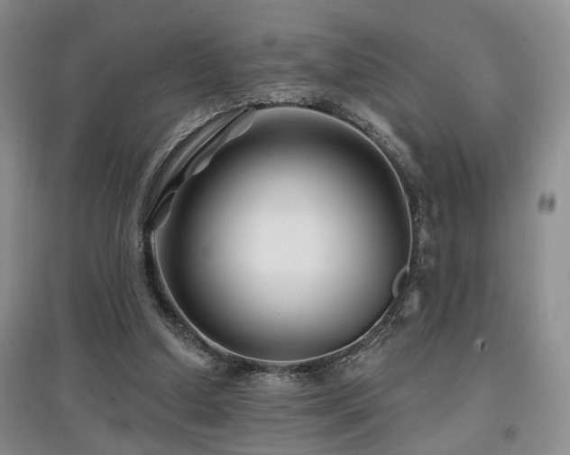 X0000097870250200803141304