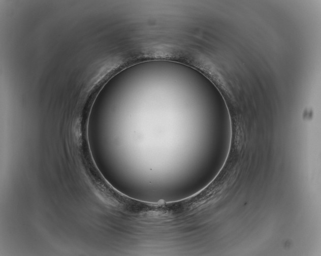 X0000097870251200803141304