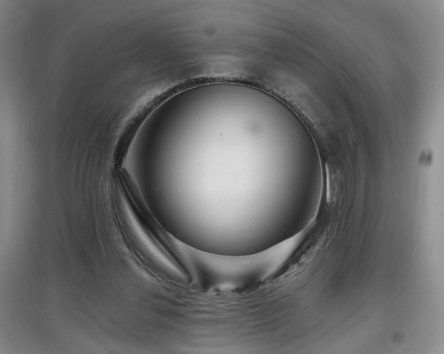 X0000097870252200803141304