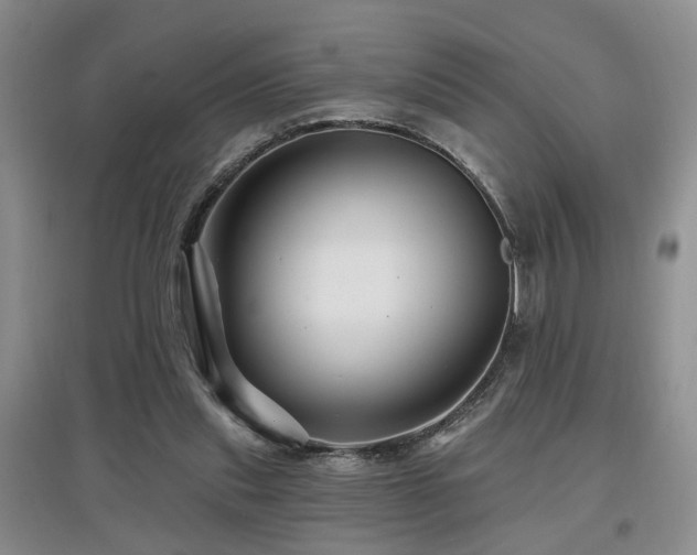 X0000097870253200803141304