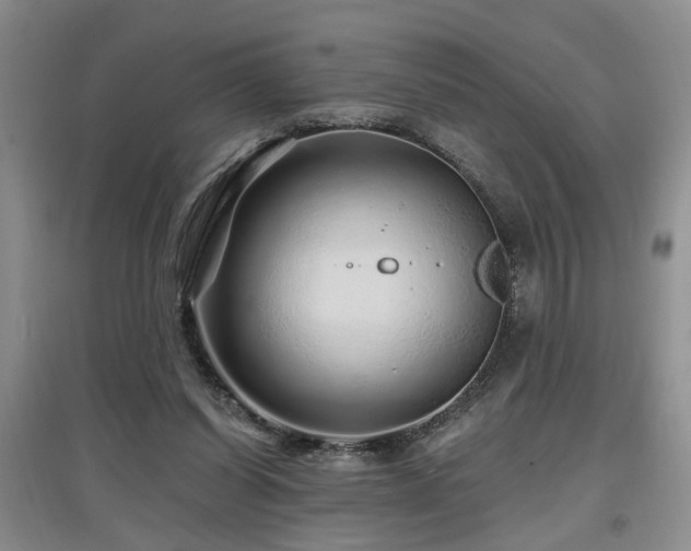 X0000097870254200803141304