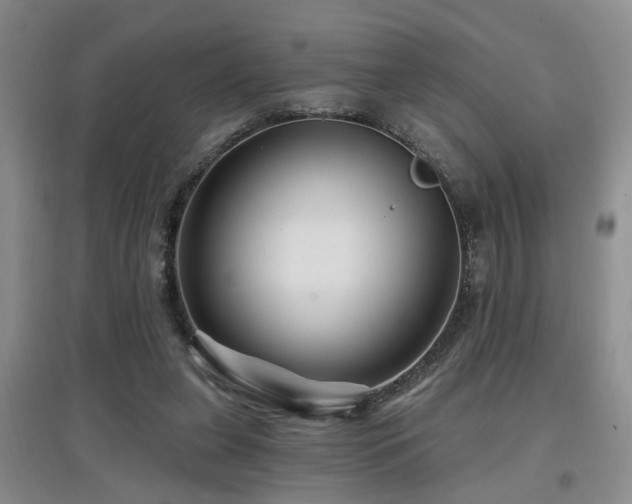 X0000097870255200803141304