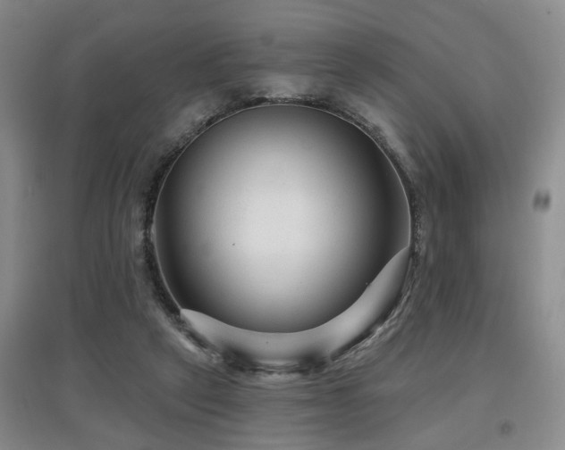 X0000097870257200803141304