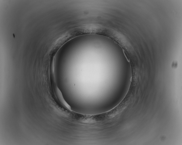 X0000097870258200803141304