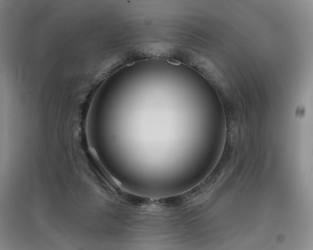 X0000097870259200803141304