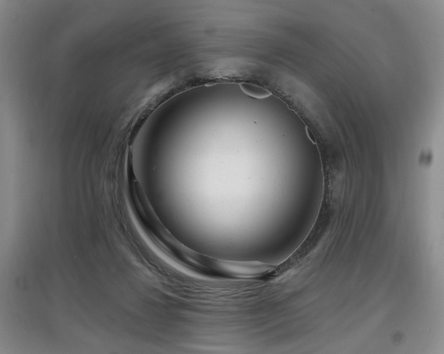 X0000097870260200803141304