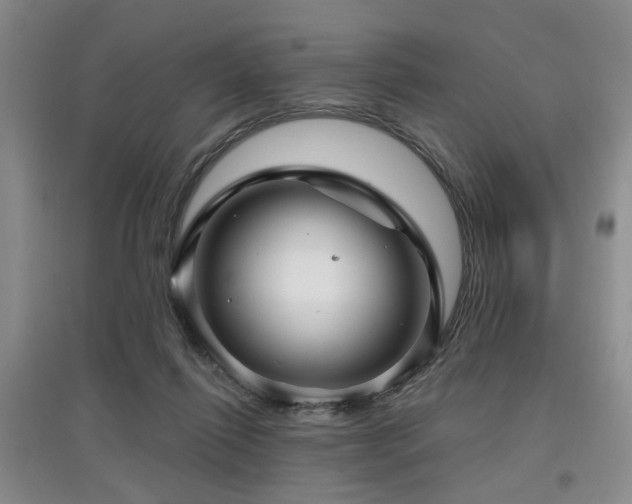 X0000097870262200803141304
