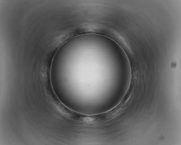X0000097870265200803141304