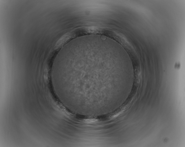 X0000097870266200803141304