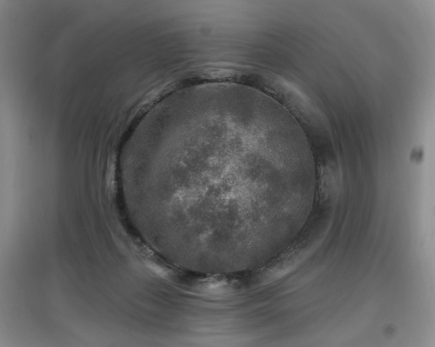 X0000097870267200803141304