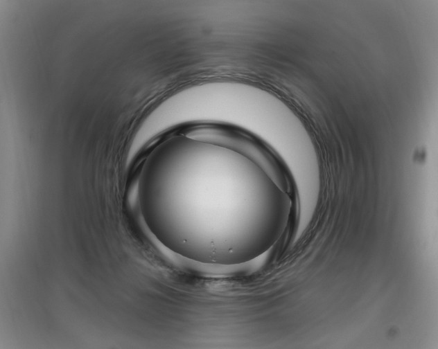 X0000097870268200803141304