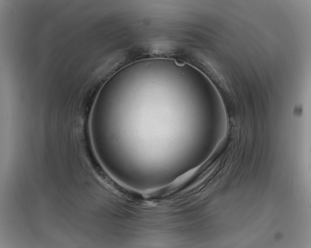 X0000097870269200803141304