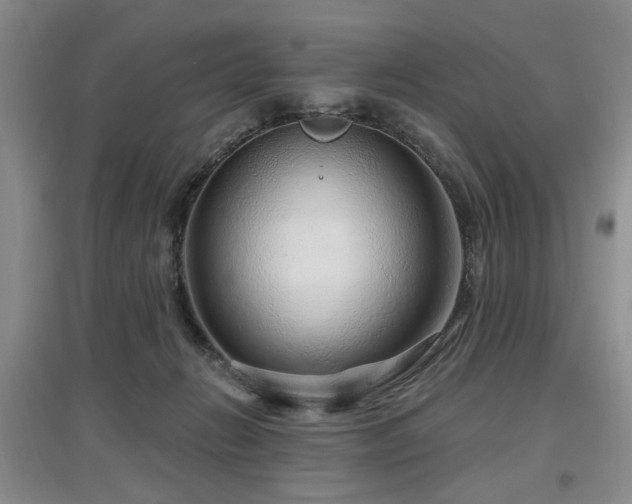 X0000097870270200803141304