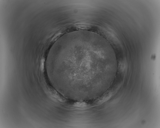 X0000097870271200803141304