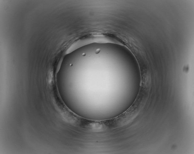 X0000097870272200803141304