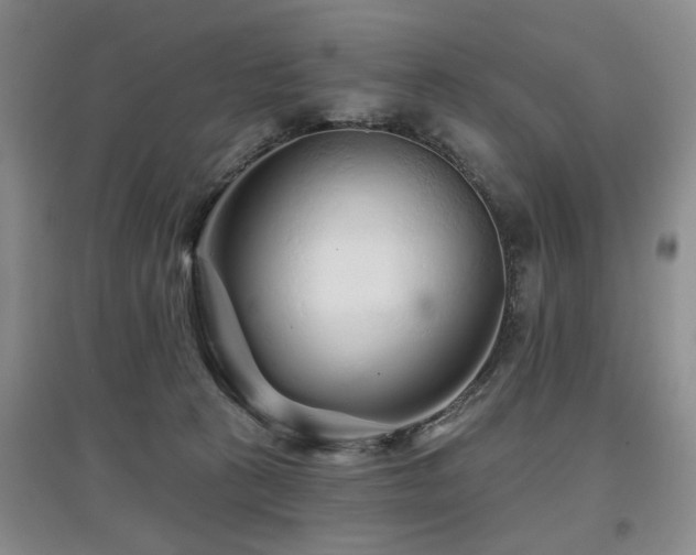 X0000097870273200803141304