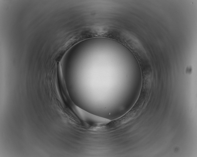 X0000097870274200803141304