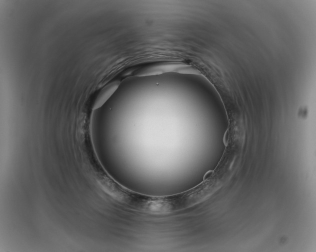 X0000097870275200803141304