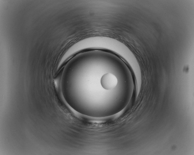 X0000097870276200803141304