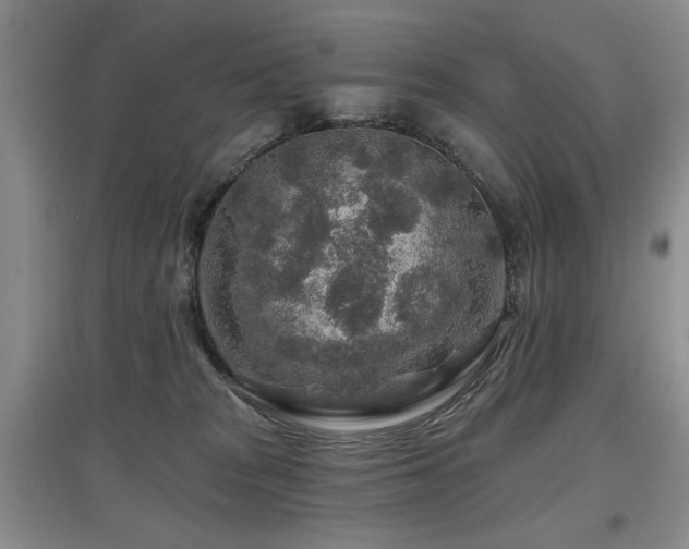 X0000097870277200803141304