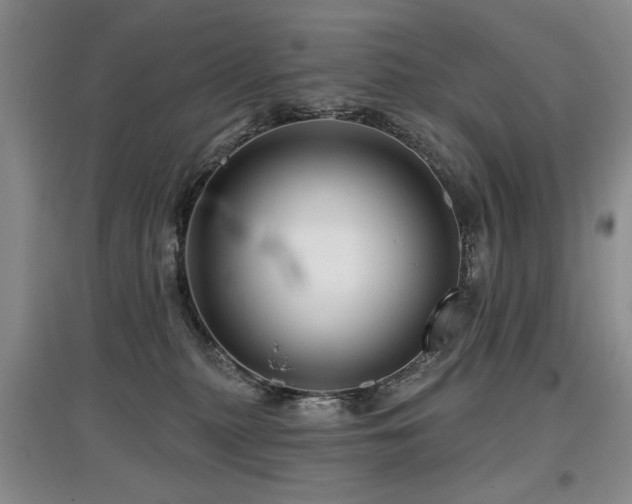 X0000097870279200803141304