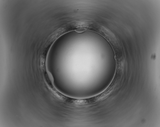 X0000097870281200803141304
