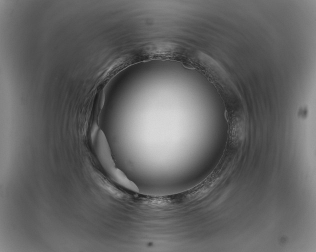 X0000097870282200803141304