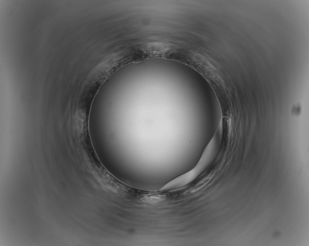 X0000097870283200803141304