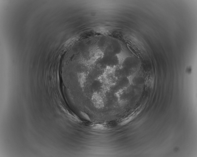 X0000097870285200803141304