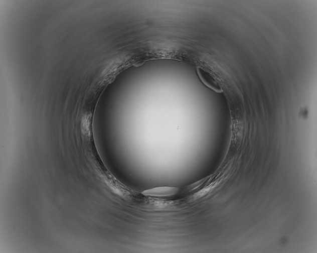 X0000097870286200803141305