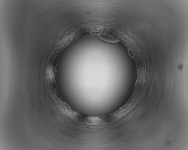 X0000097870287200803141305