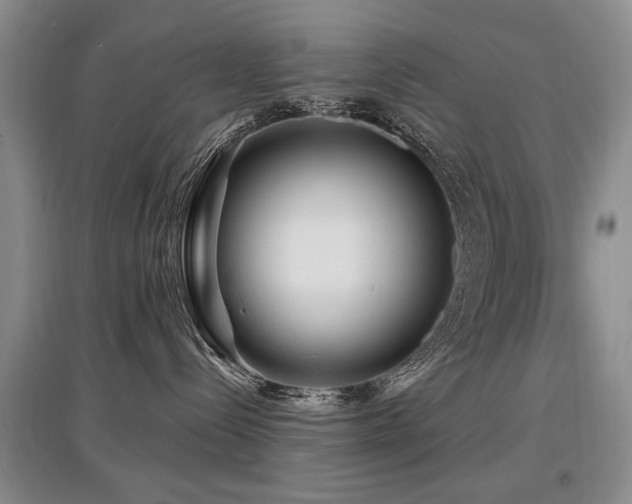 X0000097870288200803141305