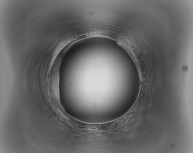 X0000097870289200803141304