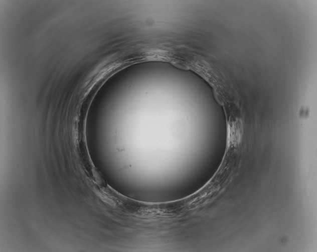 X0000097870291200803141304