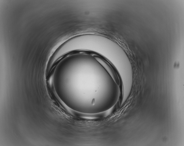 X0000097870292200803141304