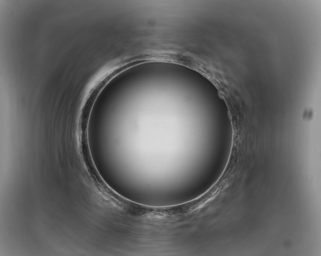 X0000097870294200803141304